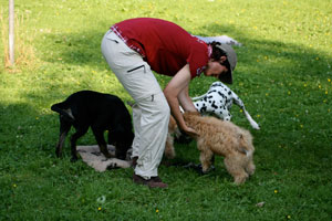 Hundetrainerin Alex Angrick bei der Welpenerziehung in Ihrer Welpenschule